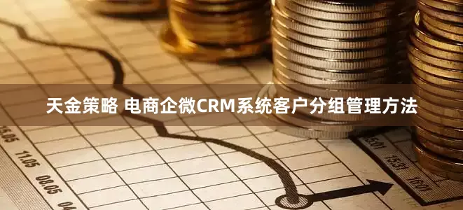 天金策略 电商企微CRM系统客户分组管理方法
